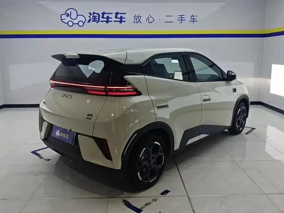 Seagull 2025 Smart Driving Edition 305km Freedom Edition — миниатюра 3