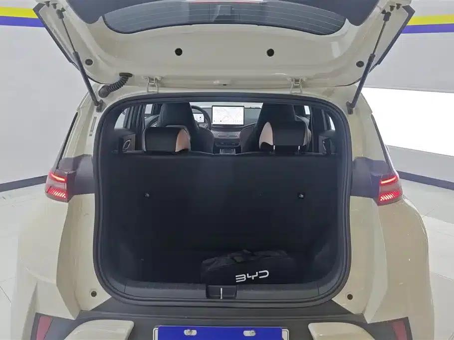 Seagull 2025 Smart Driving Edition 305km Freedom Edition — миниатюра 4