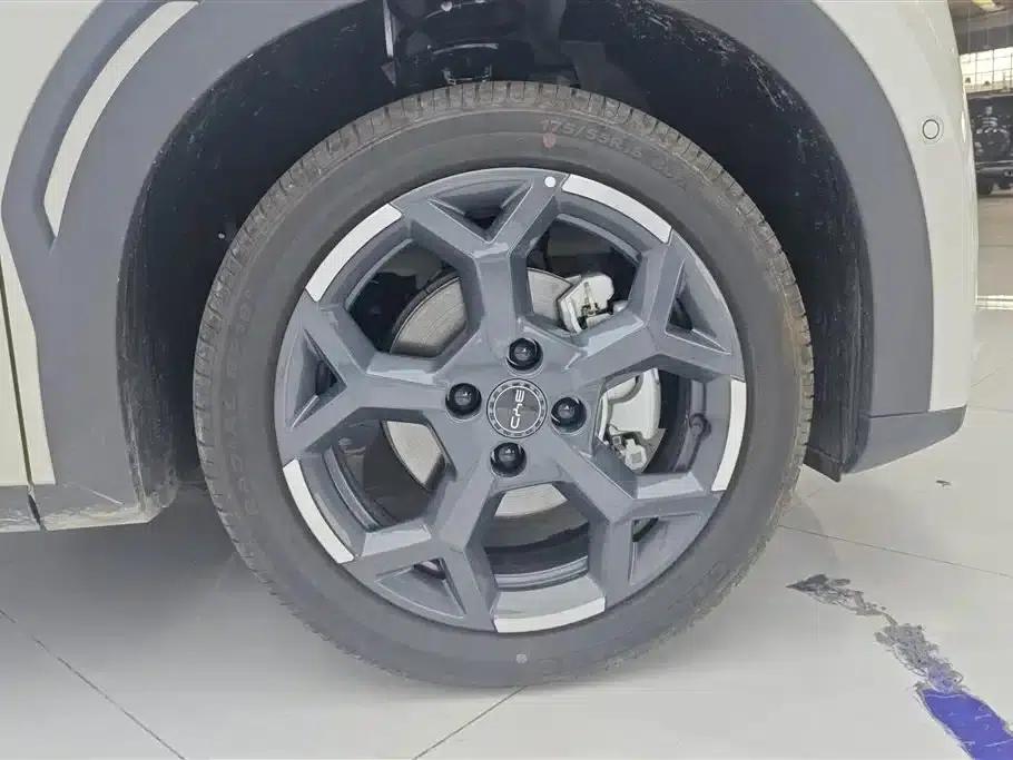 Seagull 2025 Smart Driving Edition 305km Freedom Edition — миниатюра 6