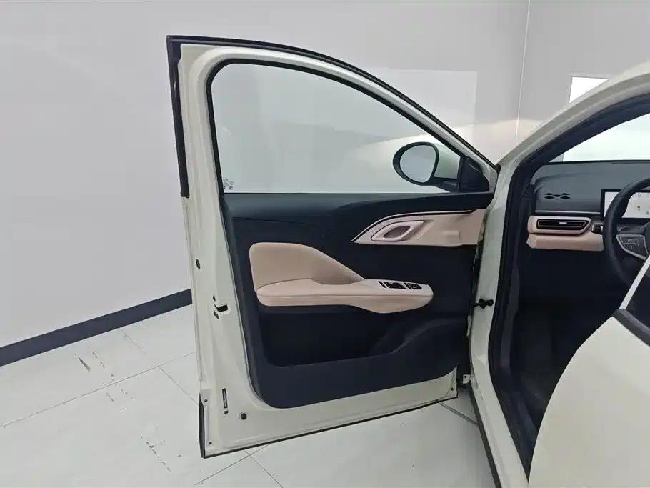 Seagull 2025 Smart Driving Edition 305km Freedom Edition — миниатюра 7