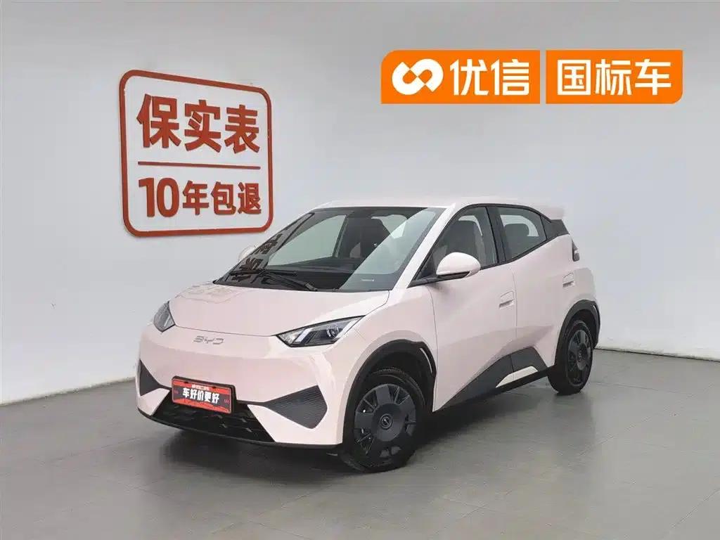 Seagull 2025 Smart Driving Edition 305km Vitality Edition — миниатюра 1