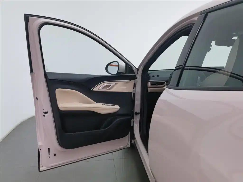 Seagull 2025 Smart Driving Edition 305km Vitality Edition — миниатюра 8