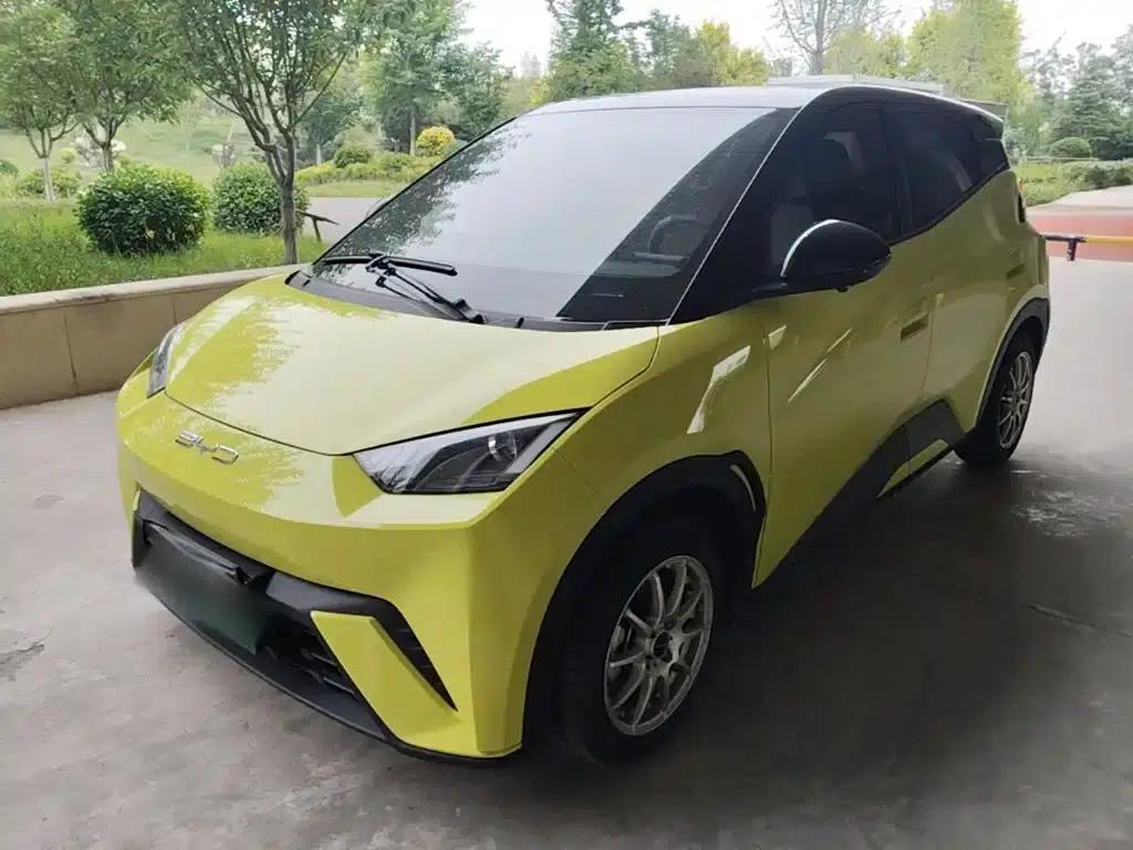 Seagull 2023 Vitality Edition — миниатюра 2