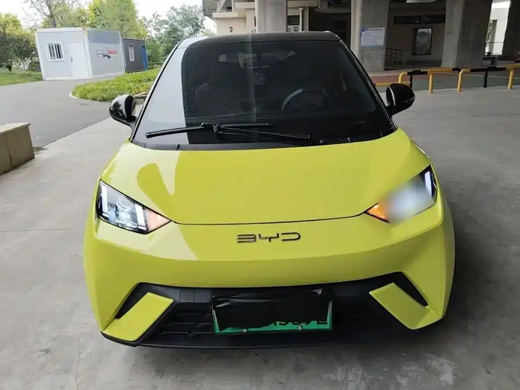 Seagull 2023 Vitality Edition — миниатюра 3