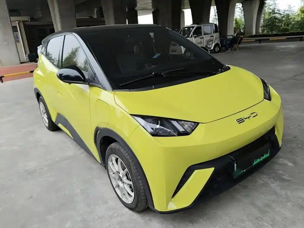 Seagull 2023 Vitality Edition — миниатюра 4