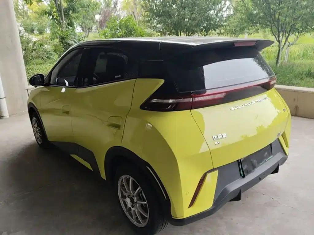 Seagull 2023 Vitality Edition — миниатюра 5
