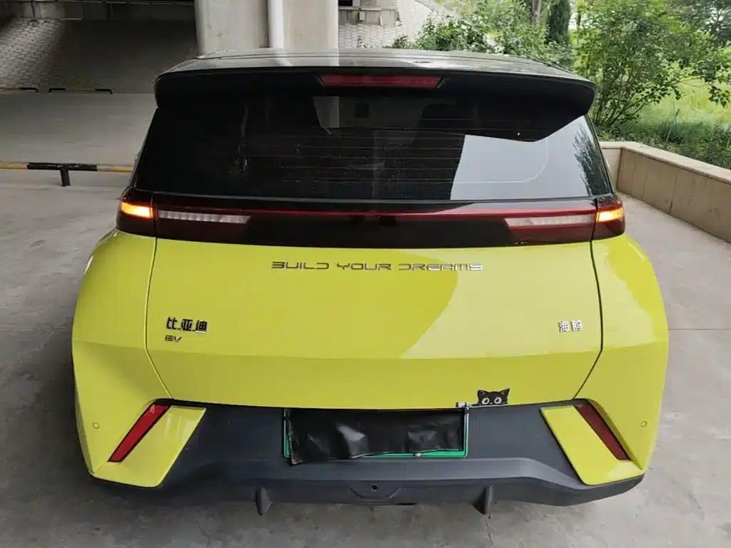 Seagull 2023 Vitality Edition — миниатюра 6
