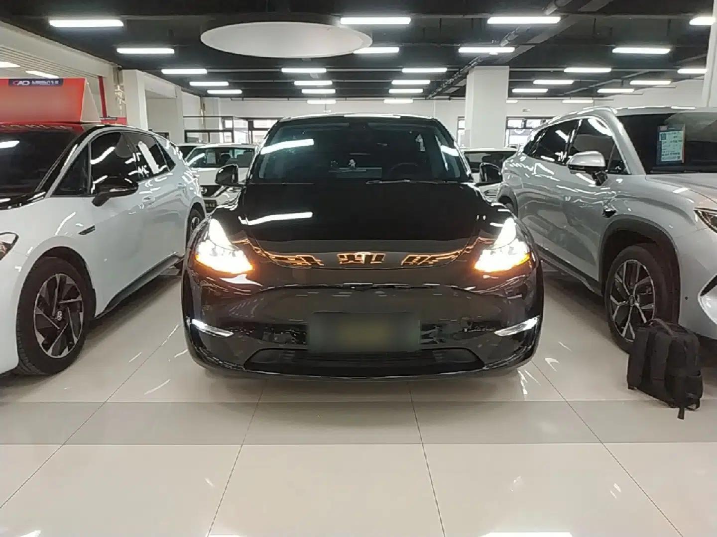 Tesla Model Y 2022 Revised Version Long-Range All-Wheel Drive — миниатюра 2