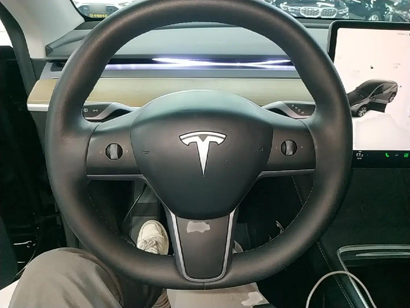 Tesla Model Y 2022 Revised Version Long-Range All-Wheel Drive — миниатюра 13