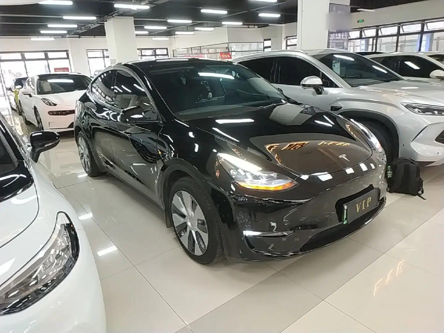 Tesla Model Y 2022 Revised Version Long-Range All-Wheel Drive — миниатюра 3