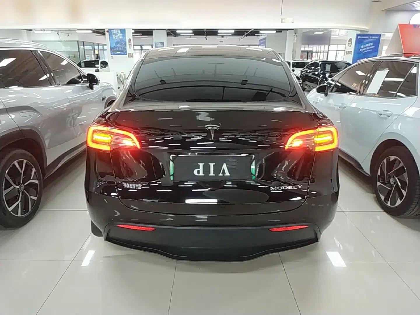 Tesla Model Y 2022 Revised Version Long-Range All-Wheel Drive — миниатюра 5