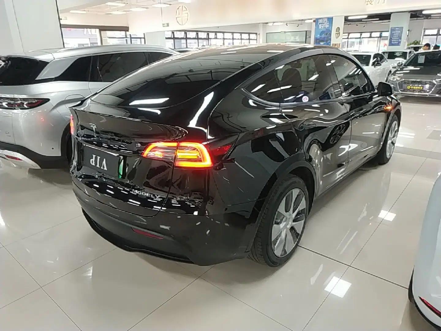 Tesla Model Y 2022 Revised Version Long-Range All-Wheel Drive — миниатюра 6