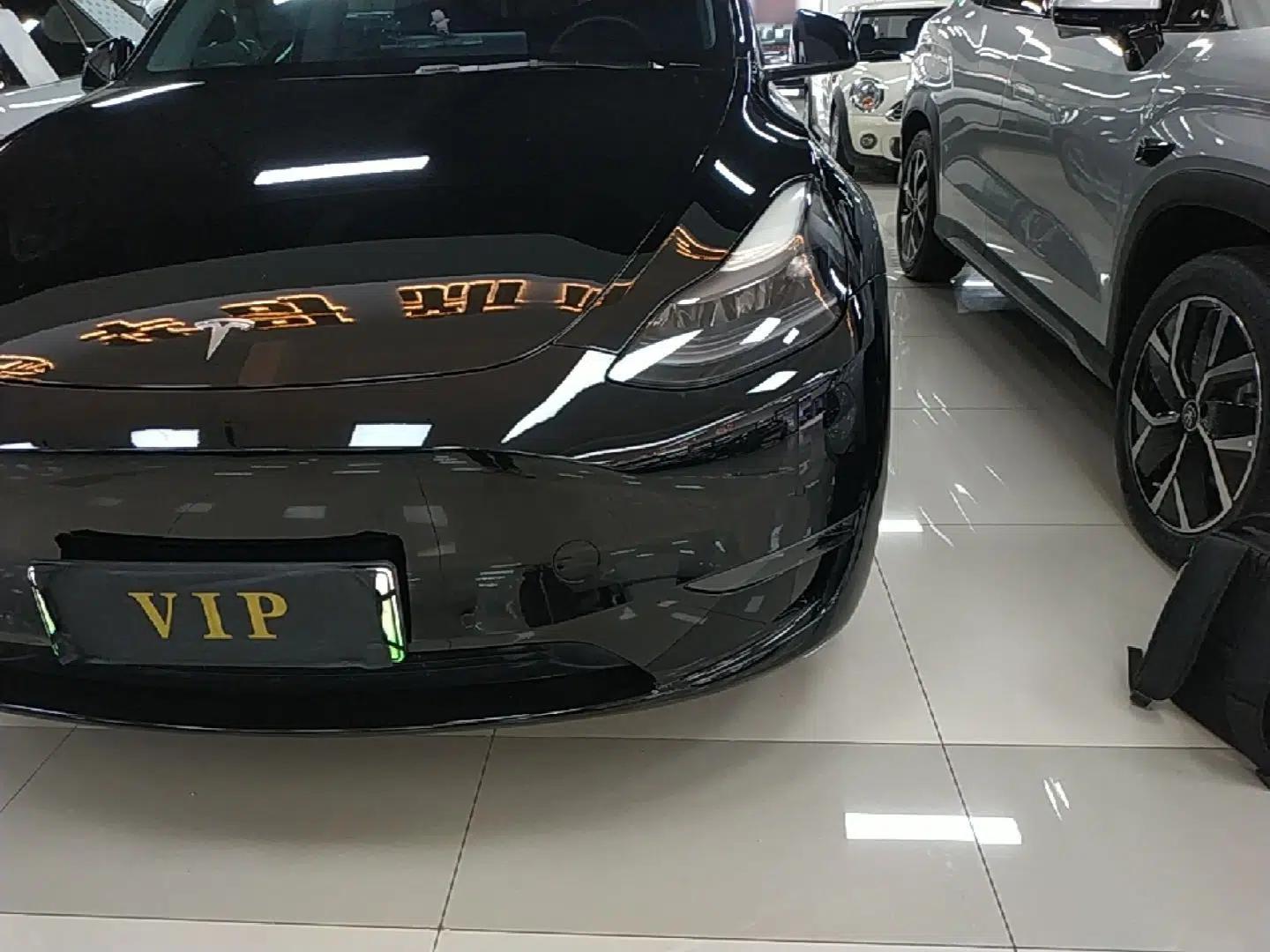 Tesla Model Y 2022 Revised Version Long-Range All-Wheel Drive — миниатюра 8