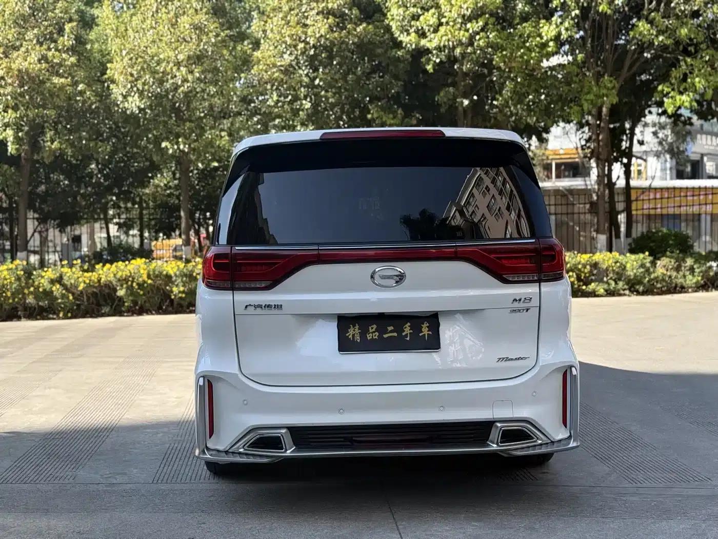 Trumpchi M8 2021 Master Series 390T Premium Edition — миниатюра 23