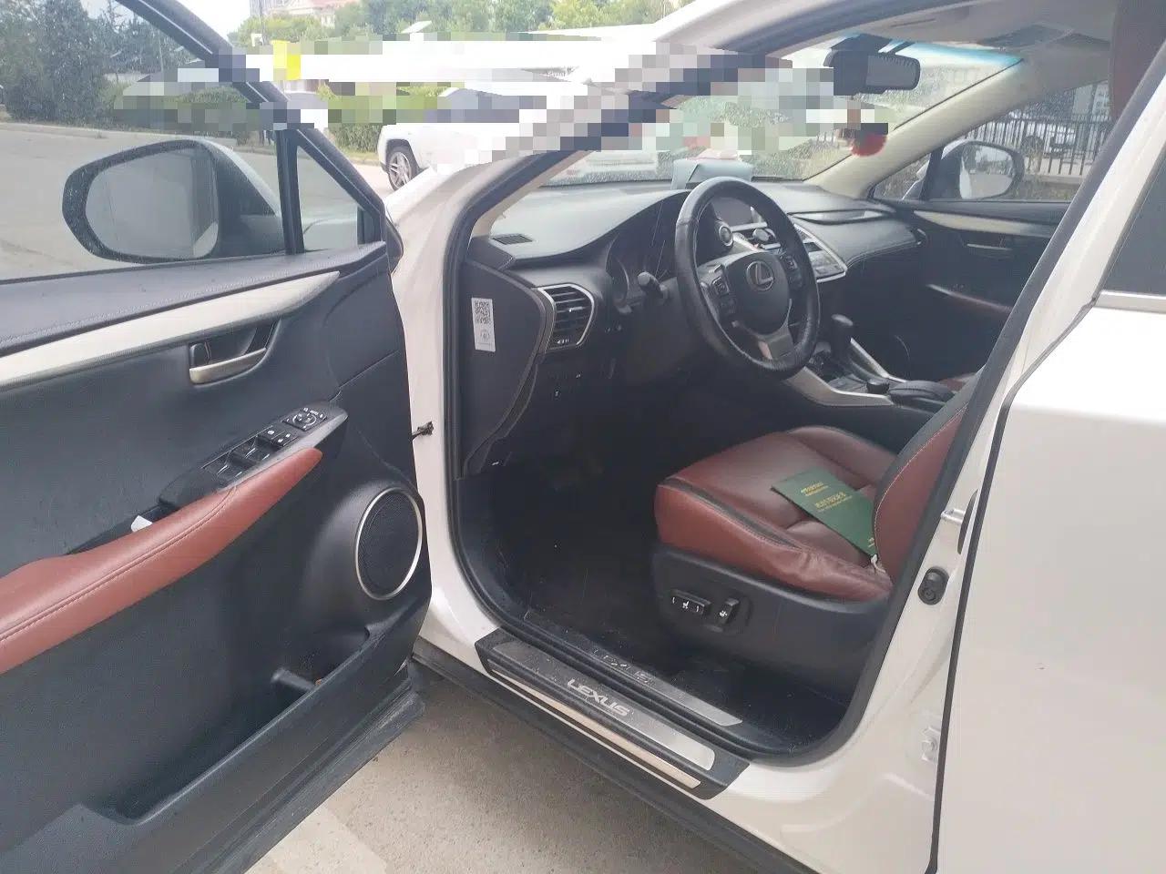 Lexus NX 2016 200 All-Wheel Drive FENGSHANG Version — миниатюра 16