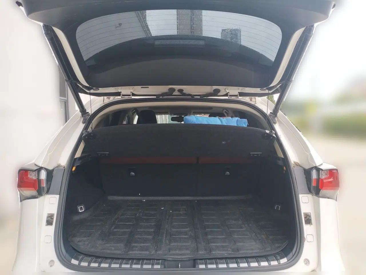 Lexus NX 2016 200 All-Wheel Drive FENGSHANG Version — миниатюра 19