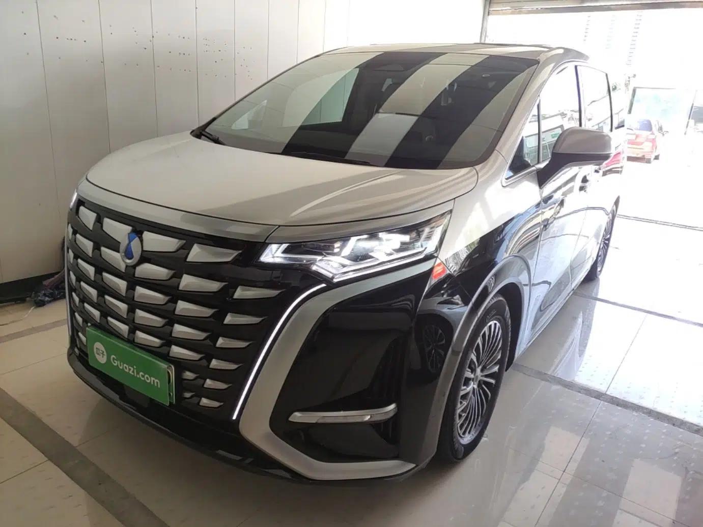 Denza D9 2024 DM-i 980 Four-Wheel Drive Flagship Model — миниатюра 1