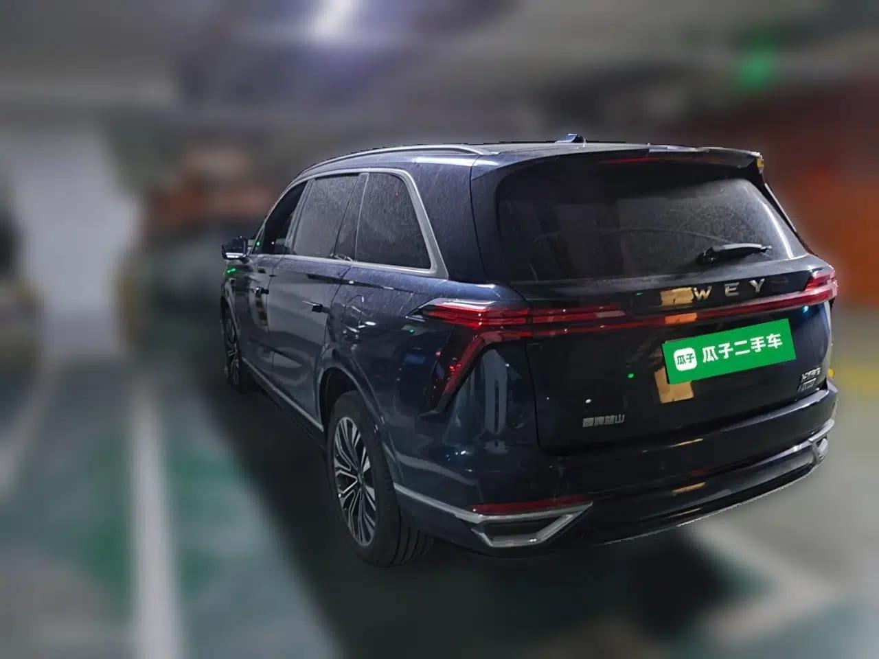 Wey Lanshan 2023 Four-Wheel Drive Ultra-Long Range Version — миниатюра 4