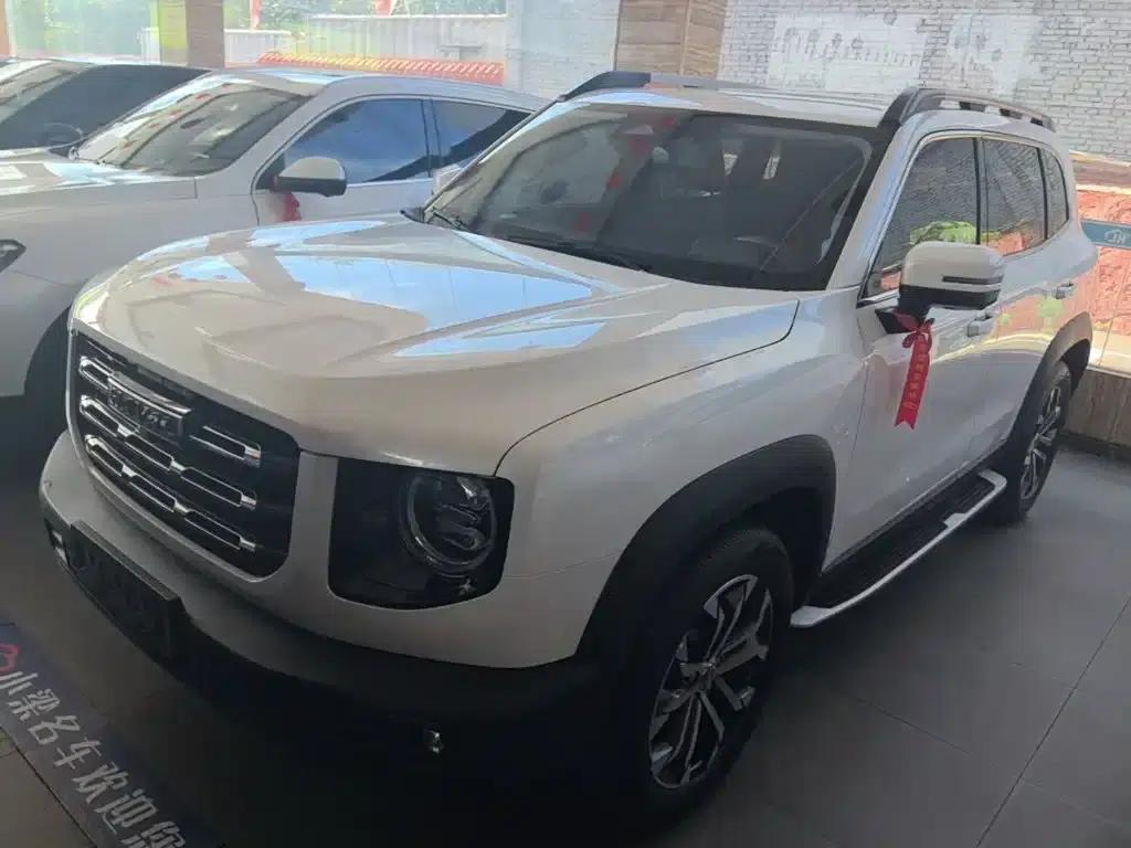 Haval Big Dog 2021 1.5T DCT 2WD Malinois Edition — миниатюра 1