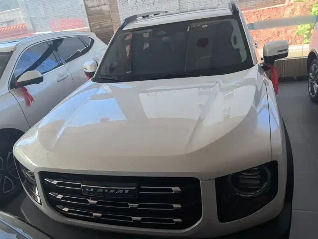 Haval Big Dog 2021 1.5T DCT 2WD Malinois Edition — миниатюра 3