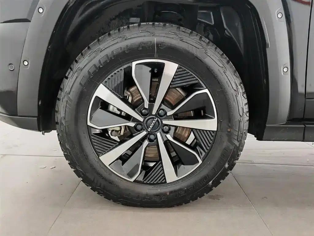Haval Big Dog PLUS 2023 2.0T 4WD Trendy Wild Plus — миниатюра 17