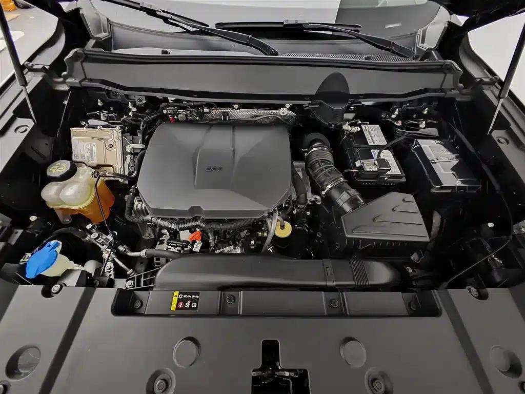 Haval Big Dog PLUS 2023 2.0T 4WD Trendy Wild Plus — миниатюра 6