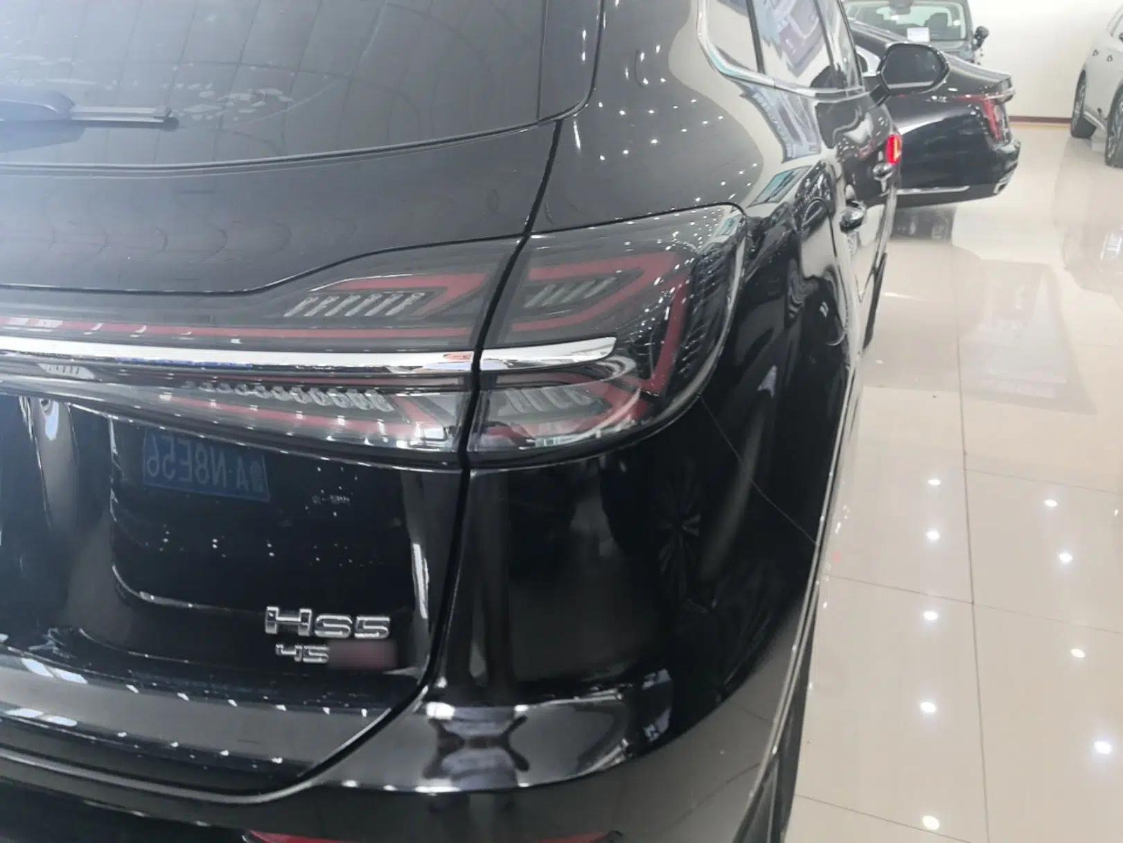 Hongqi HS5 2023 2.0T Qixiang Pro Edition — миниатюра 9