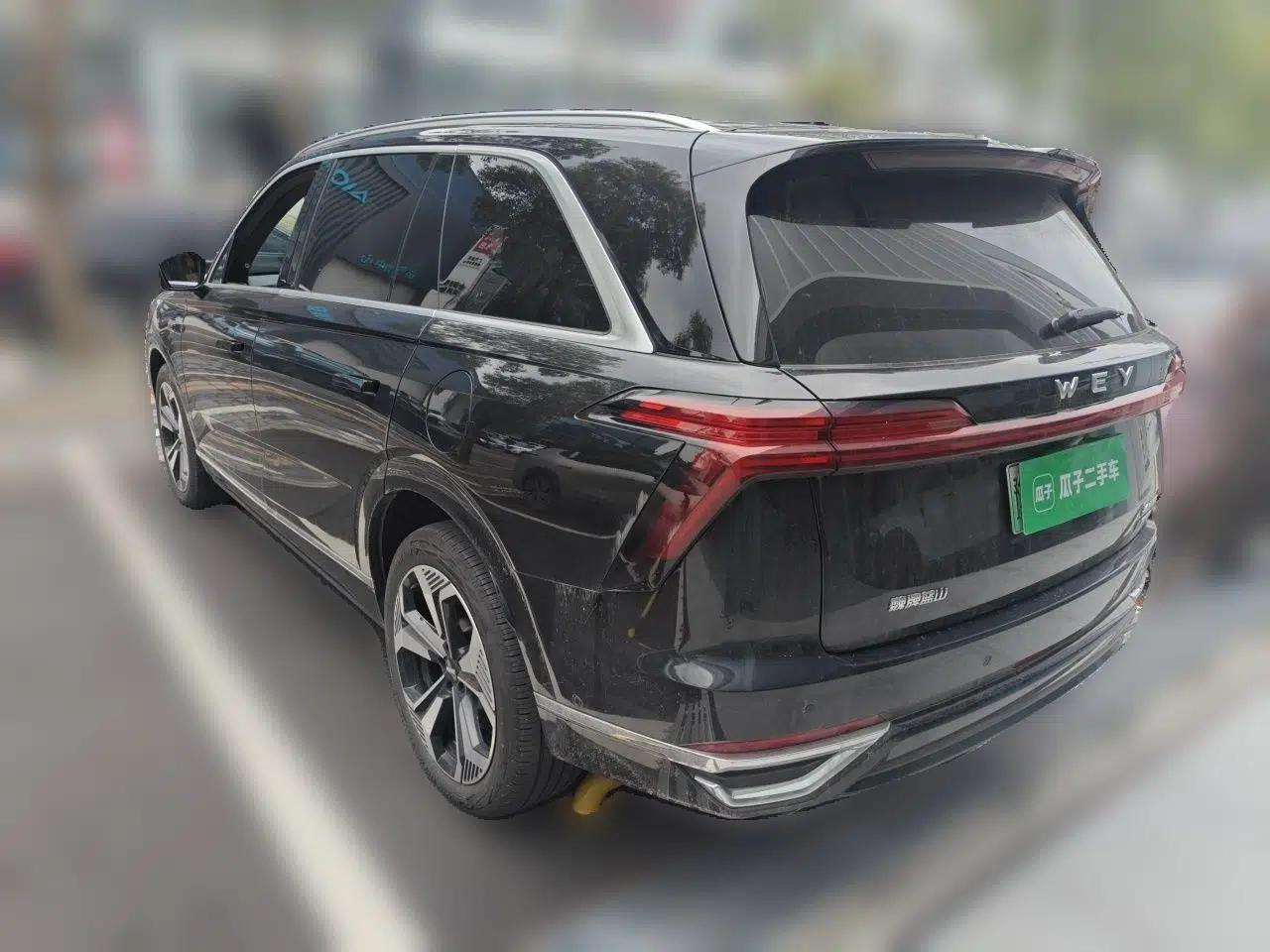 Wey Lanshan 2023 Four-Wheel Drive Ultra-Long Range Version — миниатюра 4