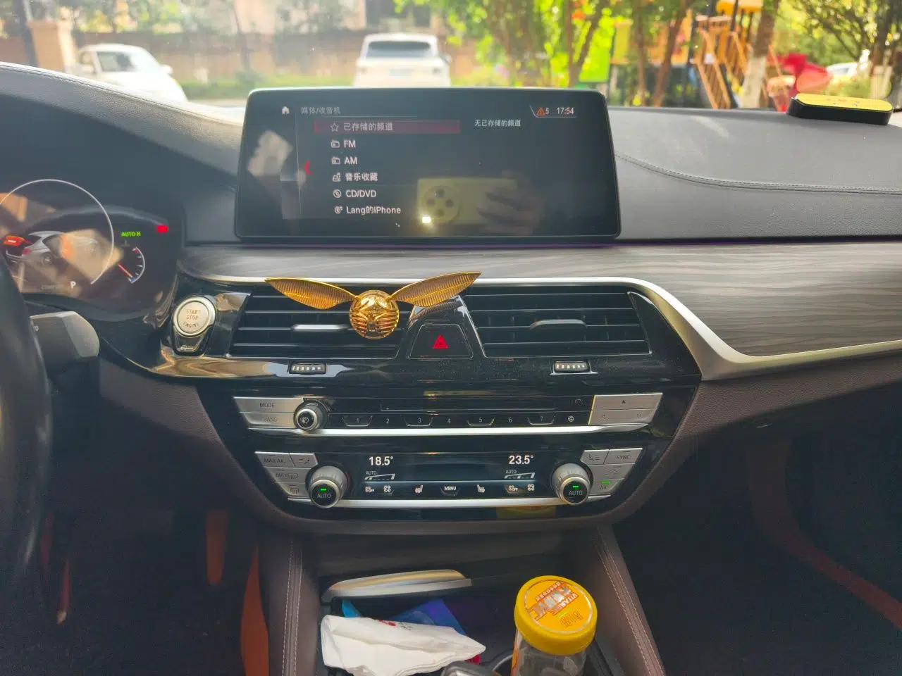 BMW 5 Series 2019 Facelifted 530Li Luxury Edition Premium Package — миниатюра 13