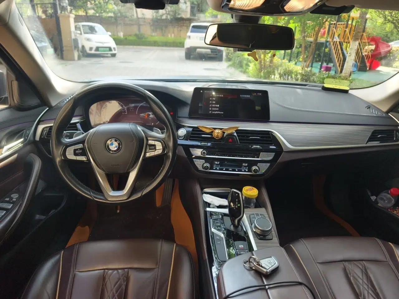 BMW 5 Series 2019 Facelifted 530Li Luxury Edition Premium Package — миниатюра 9