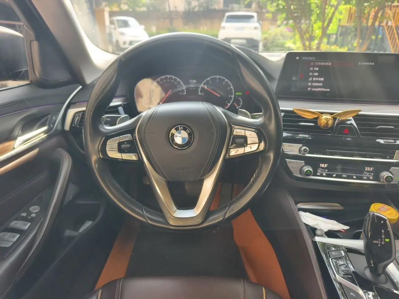 BMW 5 Series 2019 Facelifted 530Li Luxury Edition Premium Package — миниатюра 10