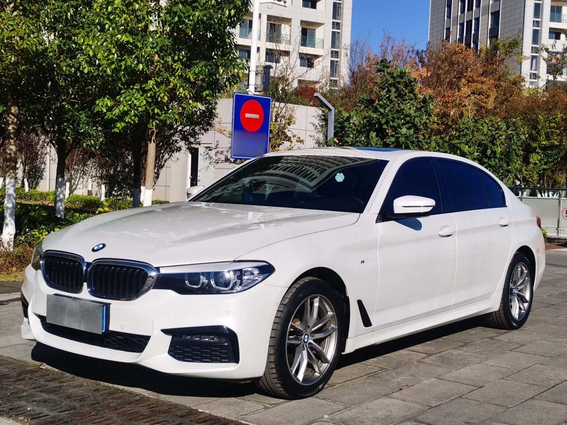 BMW 5 Series 2019 525Li M Sport Package — миниатюра 2