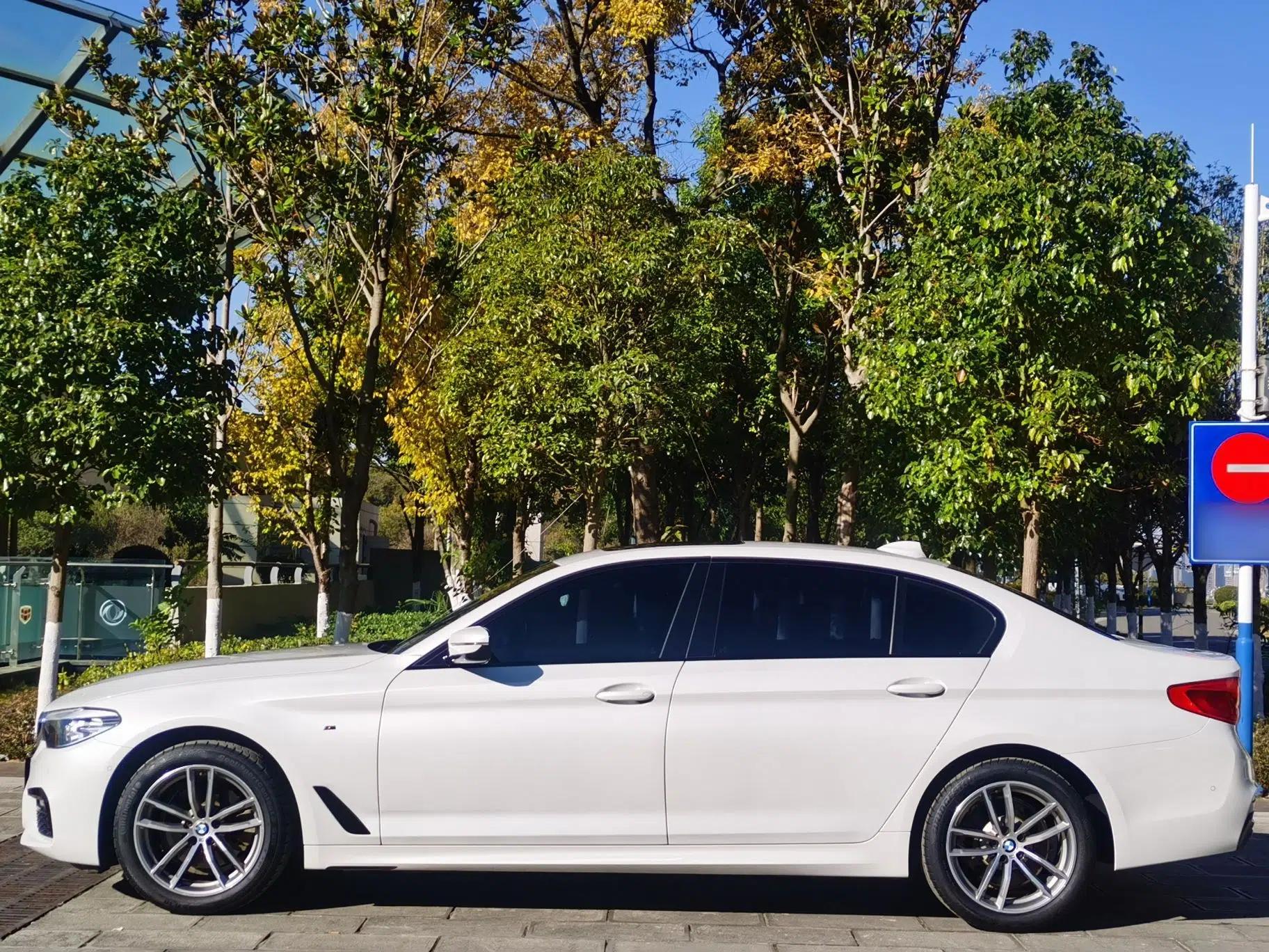 BMW 5 Series 2019 525Li M Sport Package — миниатюра 6