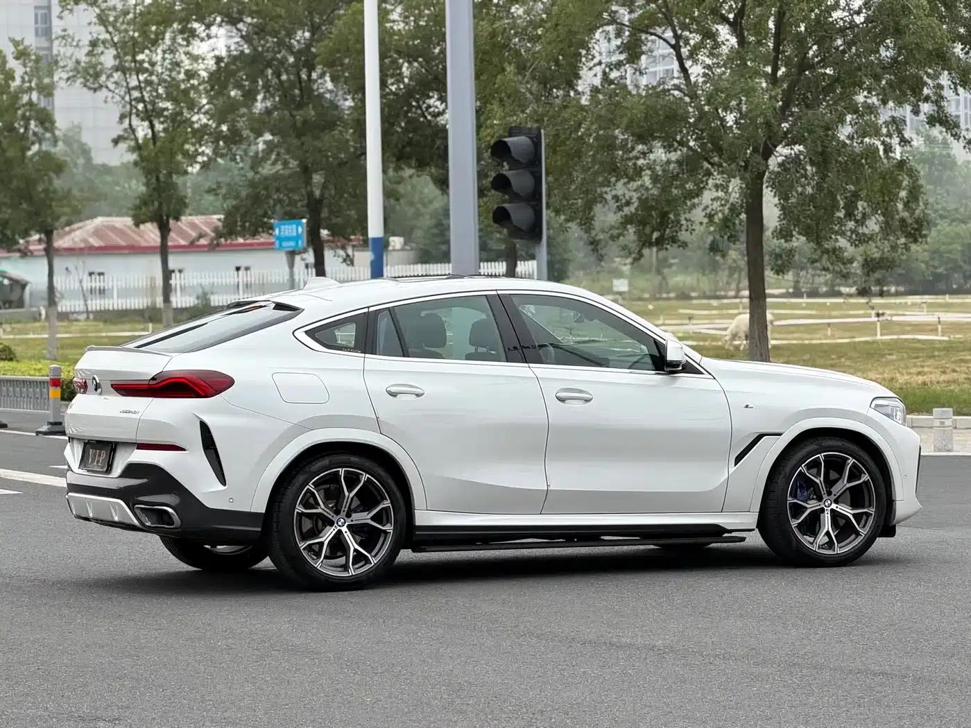 BMW X6 2020 xDrive40i Luxury M Sport Package — миниатюра 8