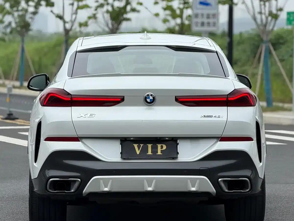 BMW X6 2020 xDrive40i Luxury M Sport Package — миниатюра 9