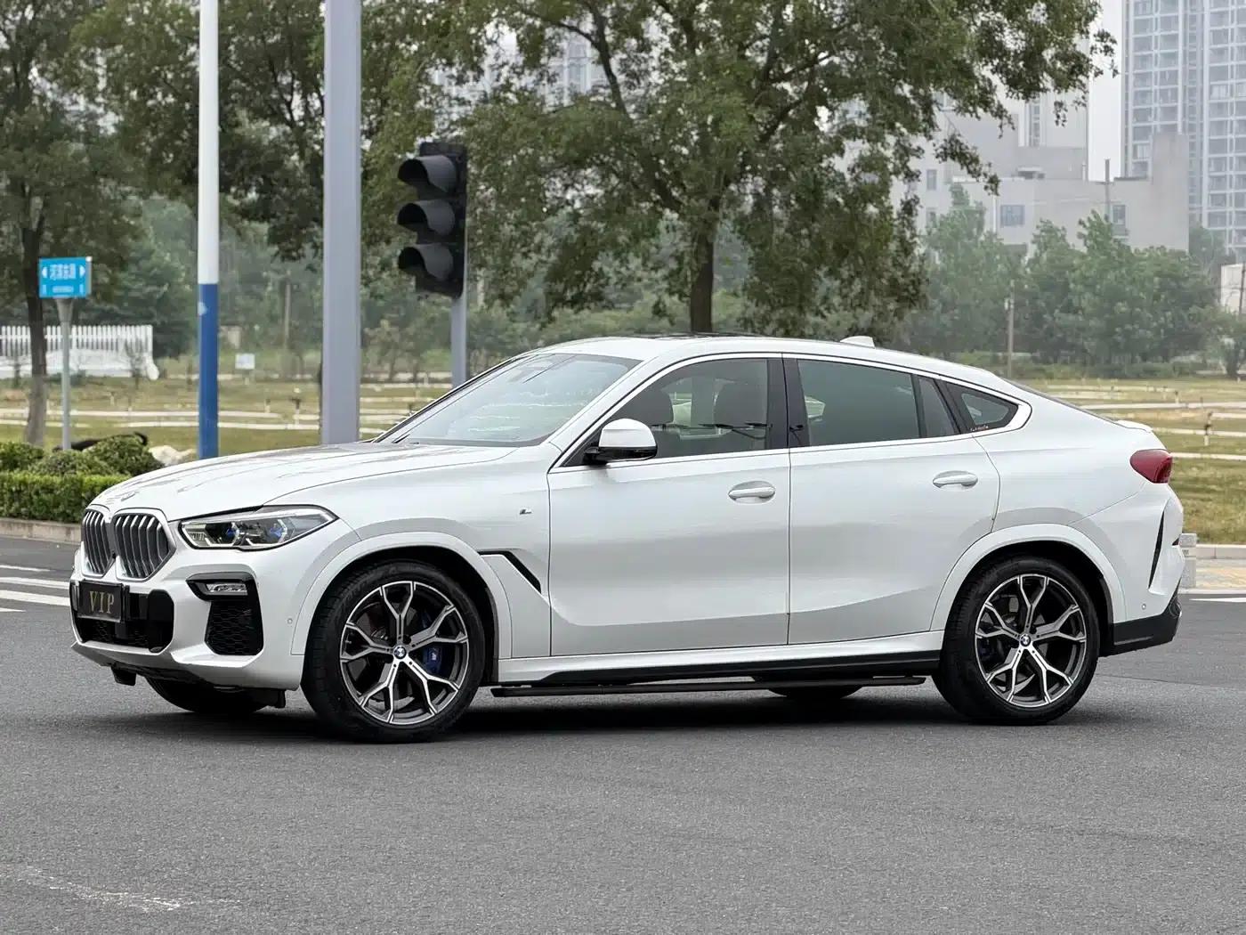 BMW X6 2020 xDrive40i Luxury M Sport Package — миниатюра 10