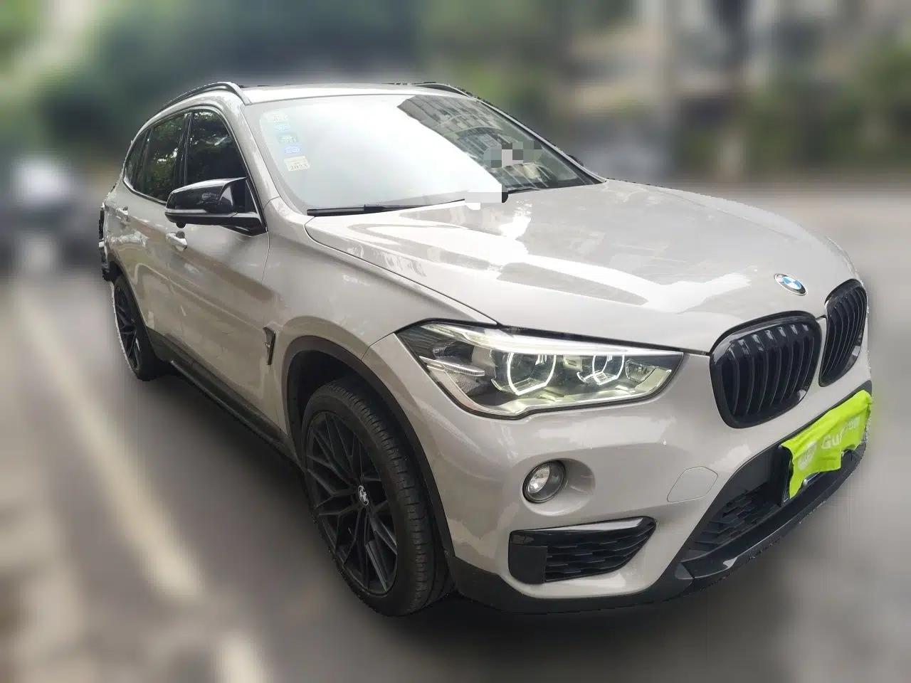 BMW X1 2018 xDrive20Li Luxury Edition — миниатюра 3