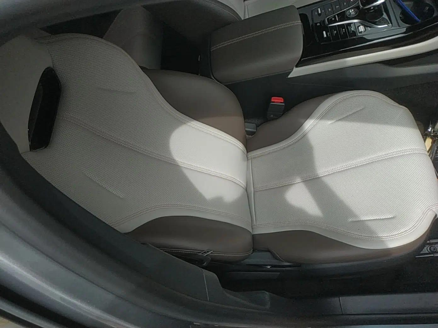 BYD Qin PLUS 2024 HONOR Edition DM-i 55KM Leading Model — миниатюра 19