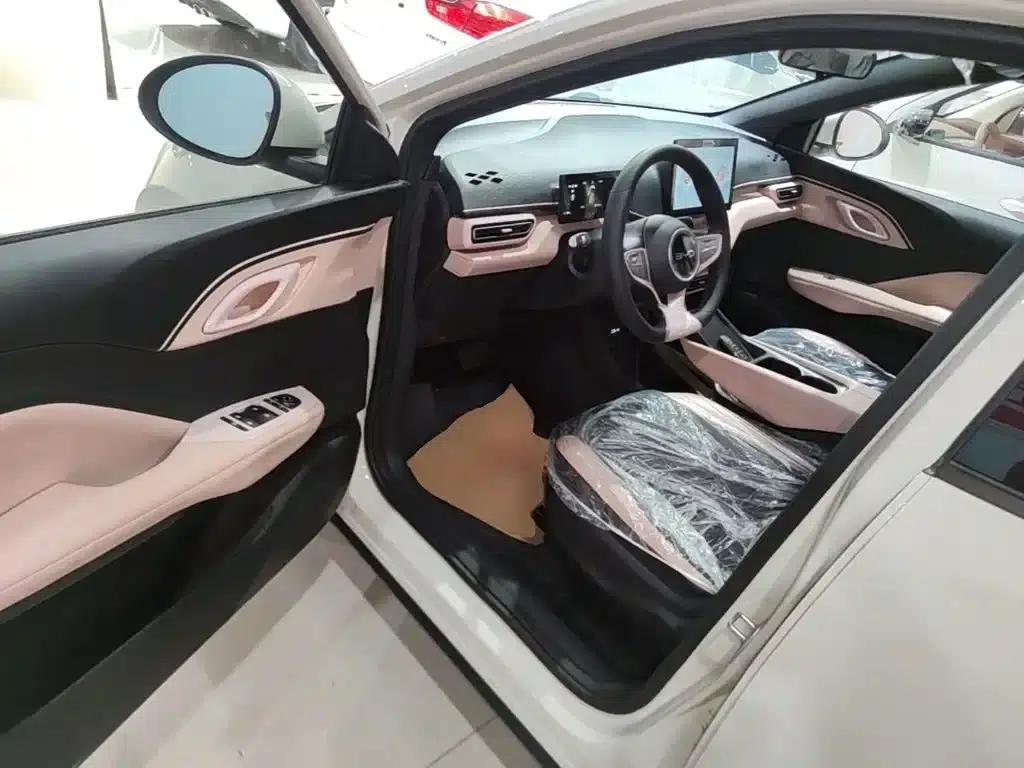 Seagull 2025 305km/h Dynamic Edition — миниатюра 16