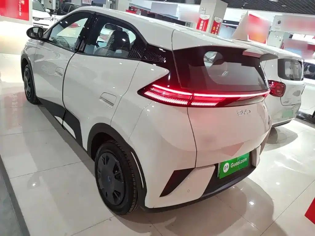 Seagull 2025 305km/h Dynamic Edition — миниатюра 5