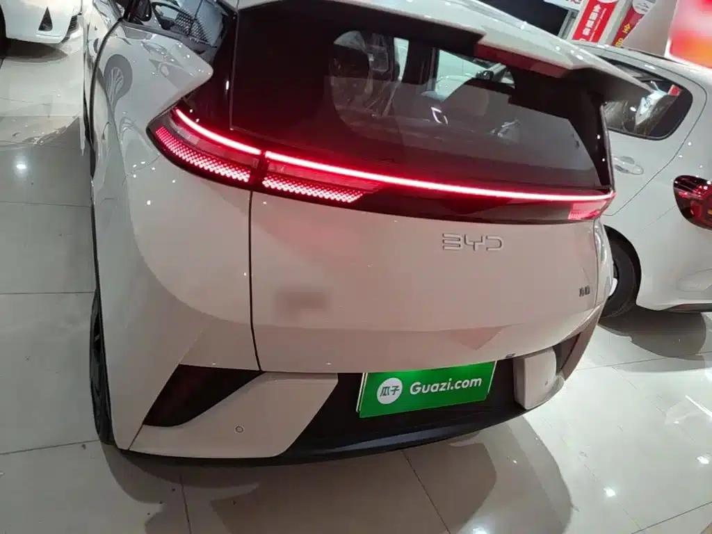 Seagull 2025 305km/h Dynamic Edition — миниатюра 6