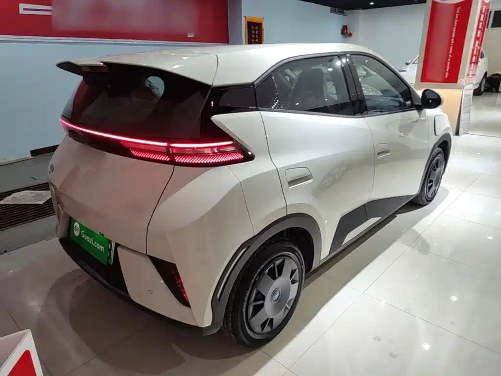 Seagull 2025 305km/h Dynamic Edition — миниатюра 7
