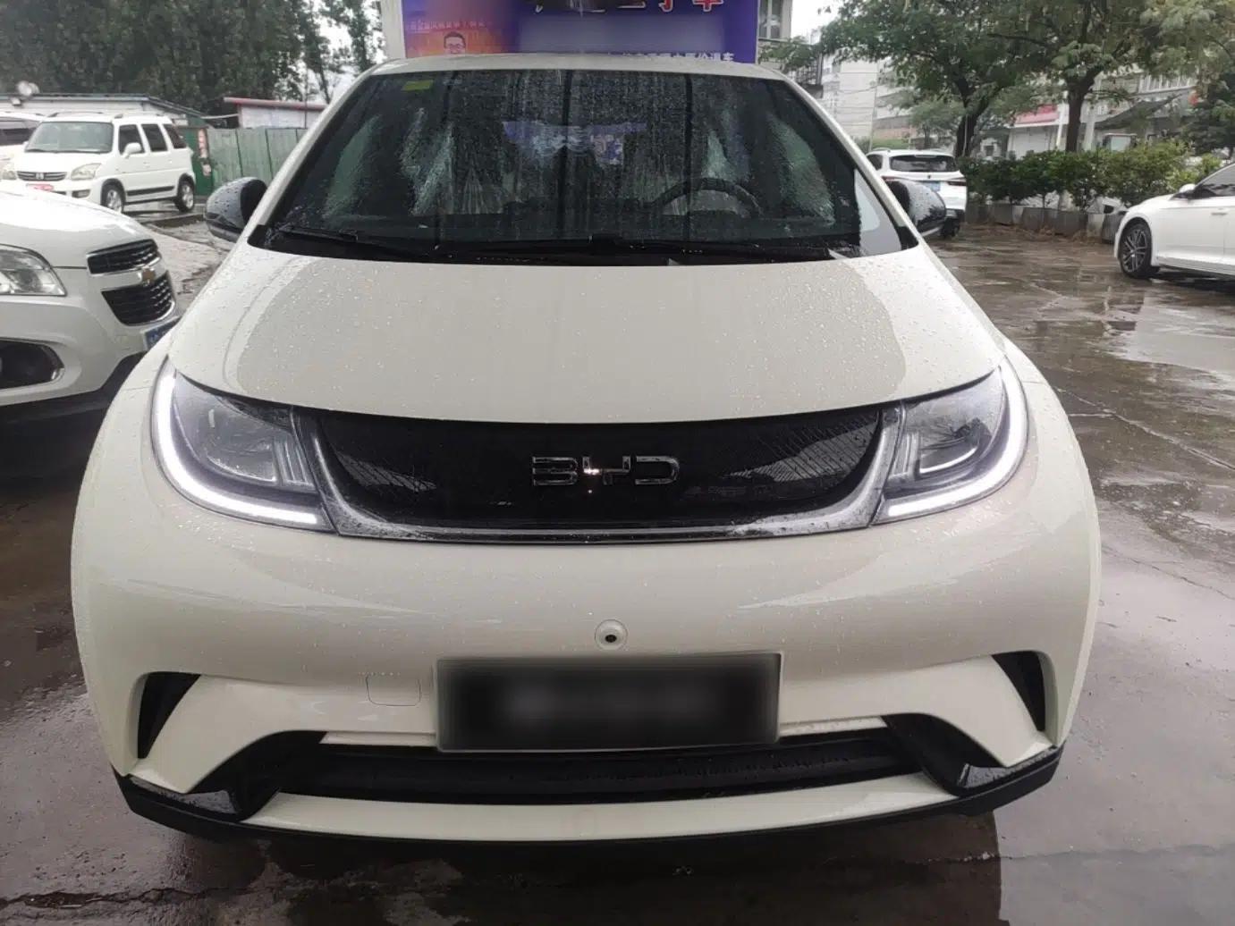 BYD Dolphin 2025 420km Free Edition — миниатюра 2