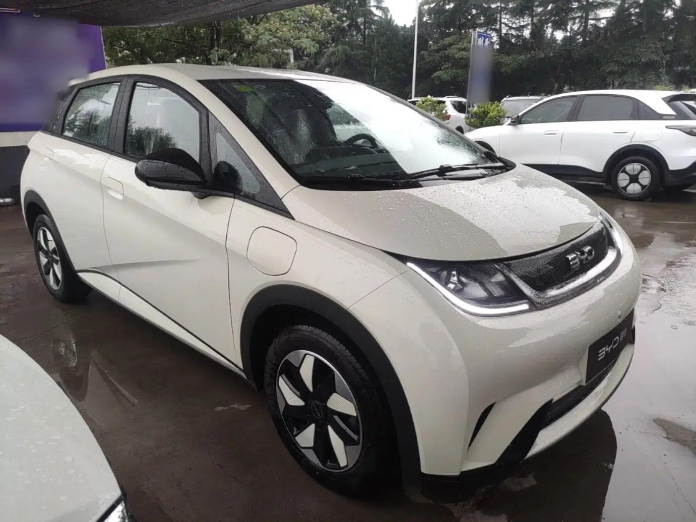 BYD Dolphin 2025 420km Free Edition — миниатюра 3