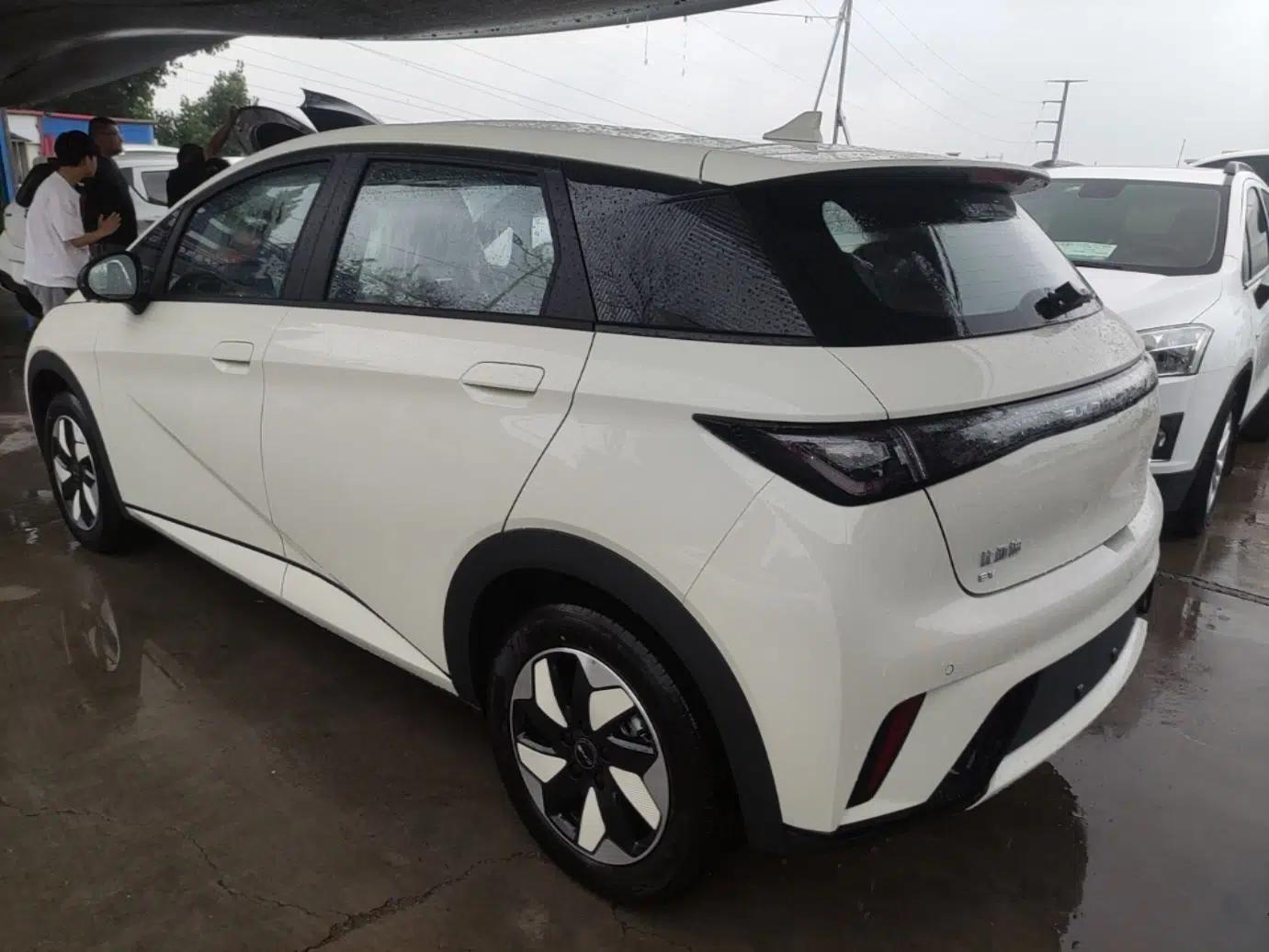 BYD Dolphin 2025 420km Free Edition — миниатюра 4