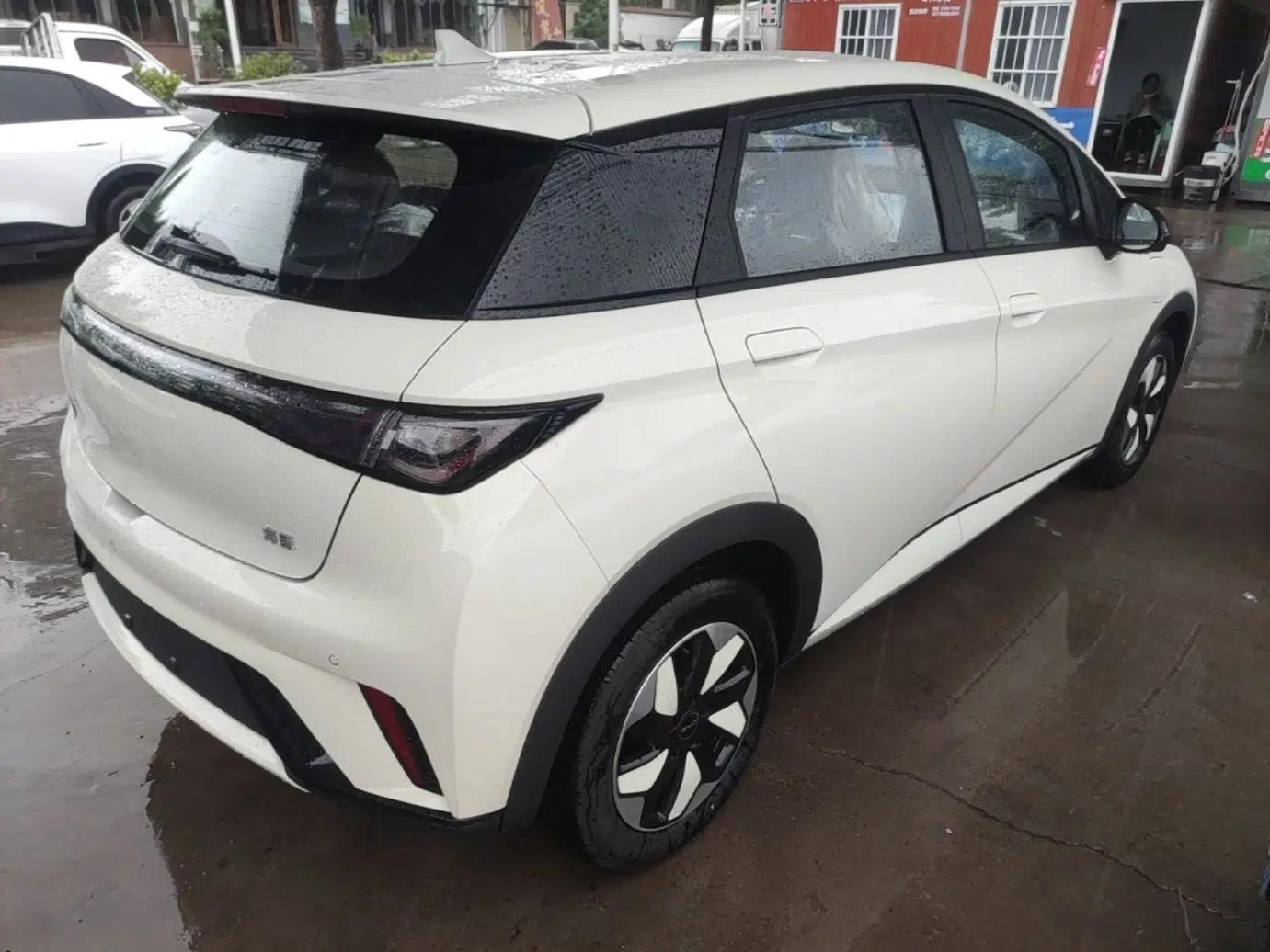 BYD Dolphin 2025 420km Free Edition — миниатюра 6