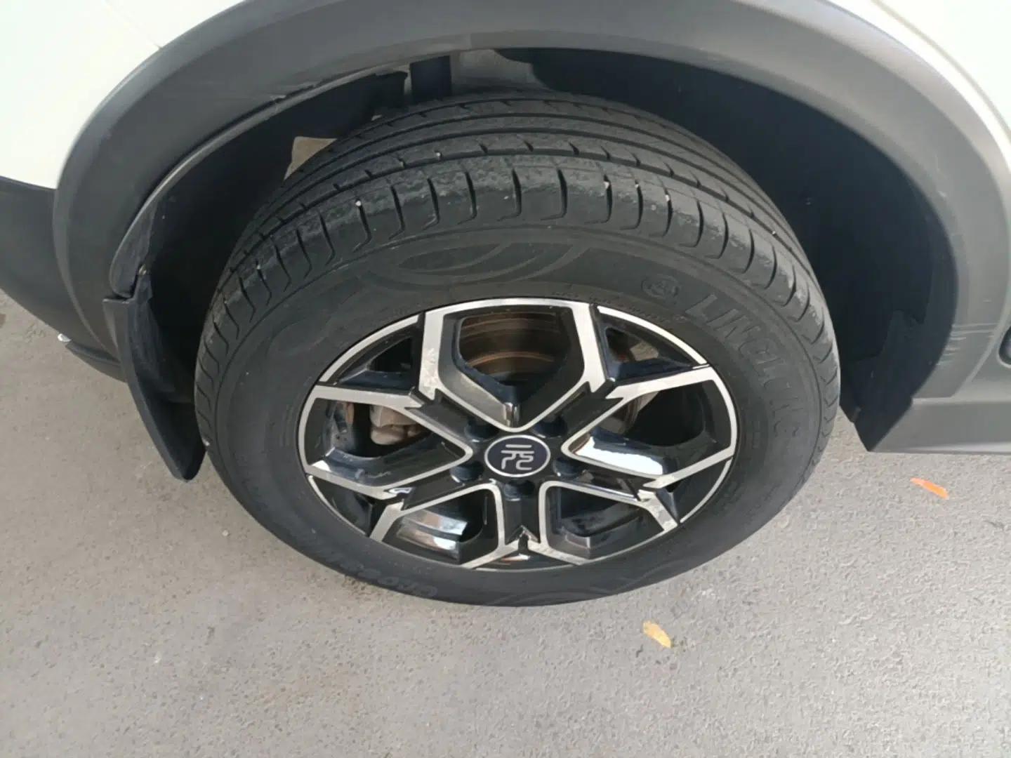 BYD Yuan Pro 2021 "Love for a Lifetime" Edition — миниатюра 11
