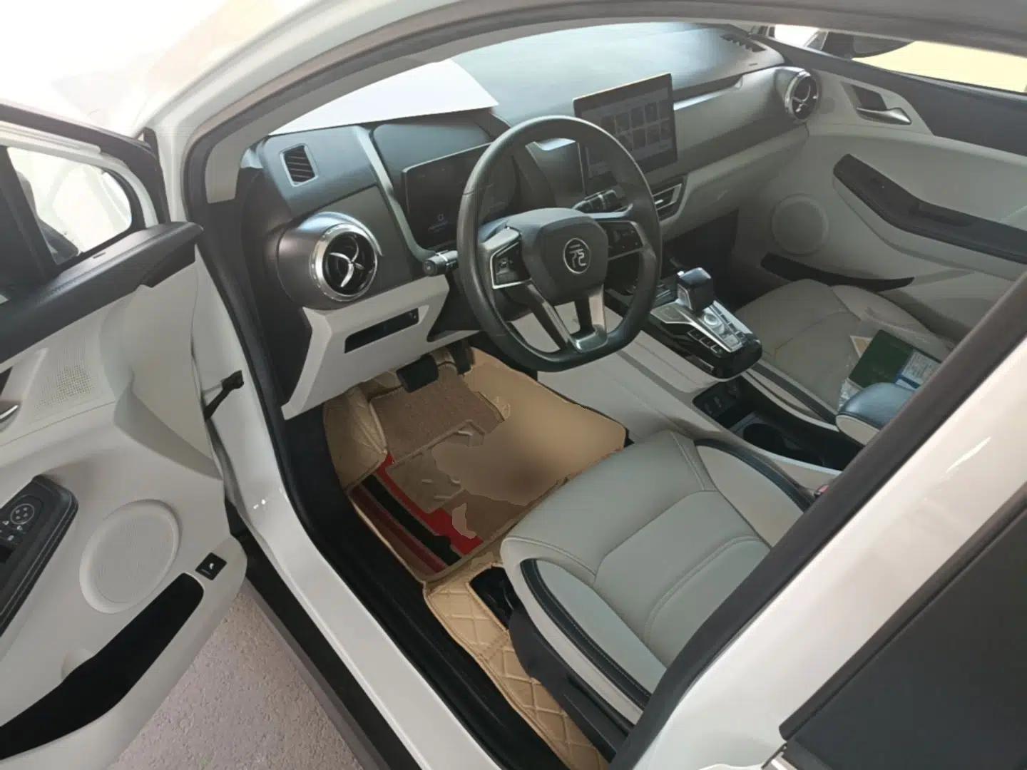BYD Yuan Pro 2021 "Love for a Lifetime" Edition — миниатюра 18