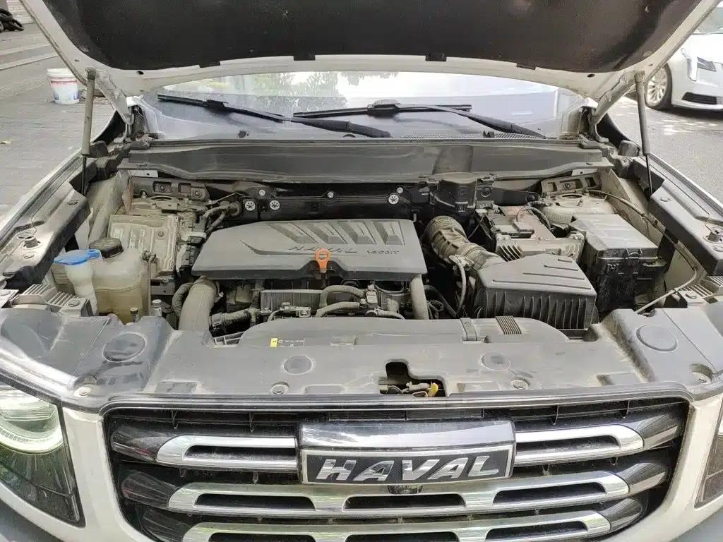 Haval Big Dog 2021 1.5T DCT 2WD Border Collie Edition — миниатюра 11
