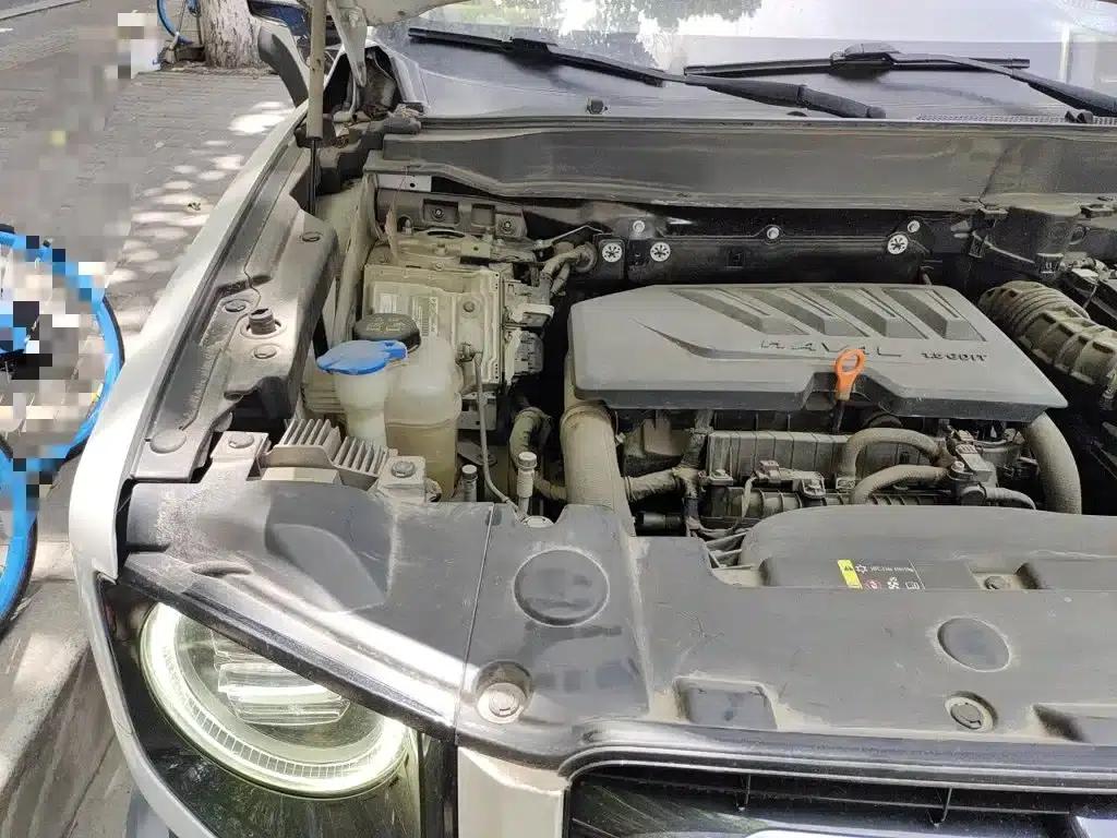 Haval Big Dog 2021 1.5T DCT 2WD Border Collie Edition — миниатюра 23